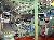 LATEX BACKCOATING LINE,